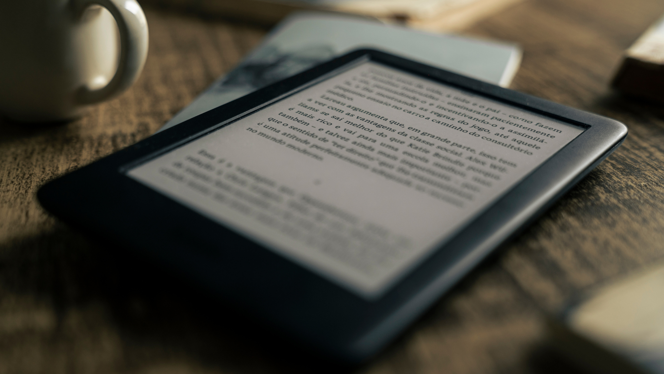 e-book para o provedor
